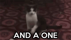 A gif of a cat dancing before falling down at the comedic pacing of a 1, a 2, and a... fuck!