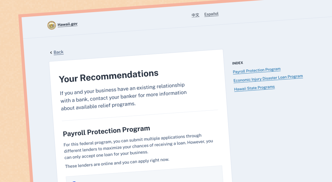 Desktop view of the loan eligibility checker displaying recommendations.