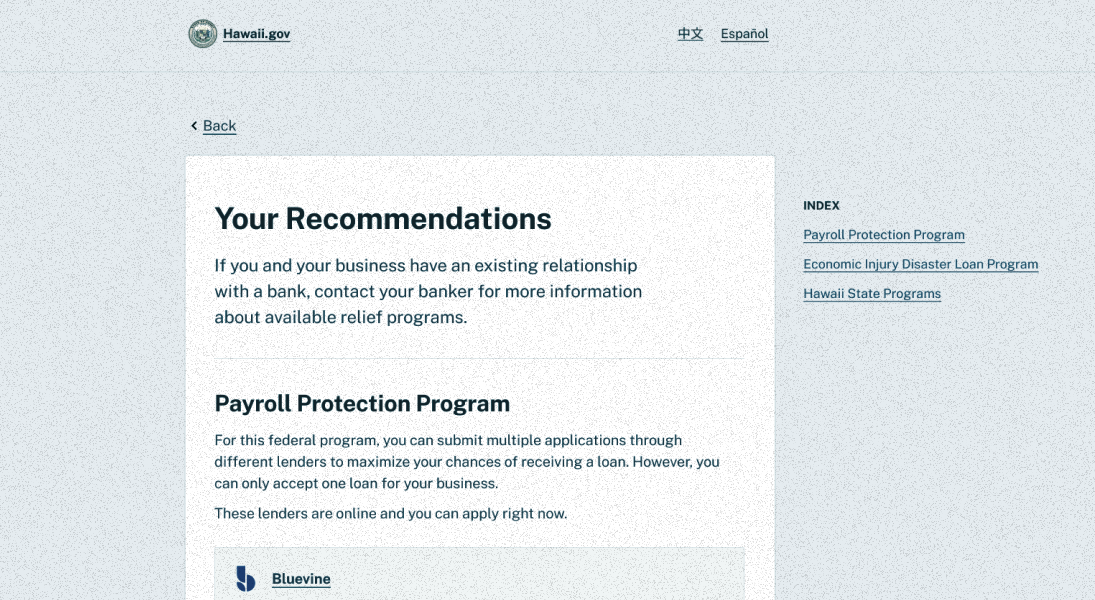 Desktop view of the loan eligibility checker displaying recommendations.