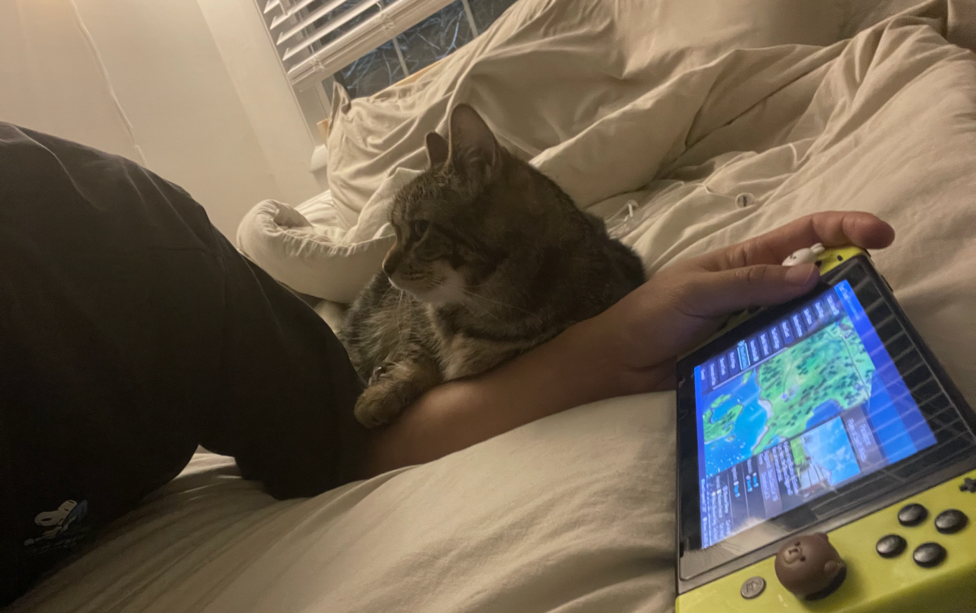 A brown tabby cat hugging my arm. I'm trying to play Fire Emblem Engage on Switch.